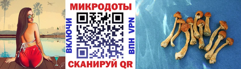 Купить где  Гаджиево  Галлюциногенные грибы MAGIC MUSHROOMS 